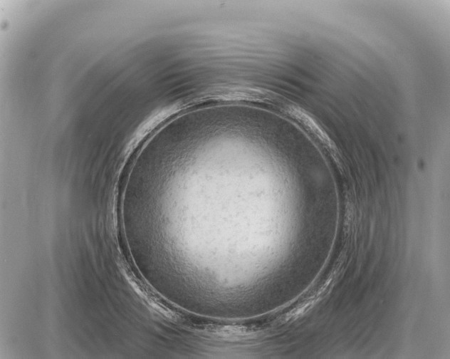 X0000087550986200705041323