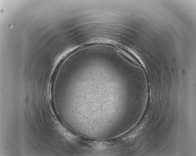 X0000087550987200705041323