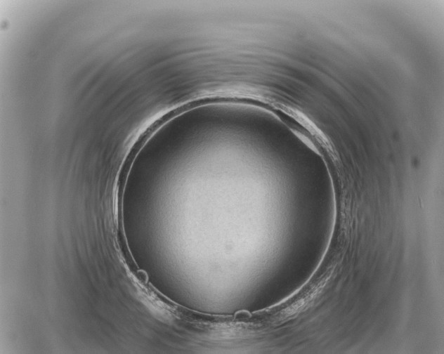 X0000087550988200705041323