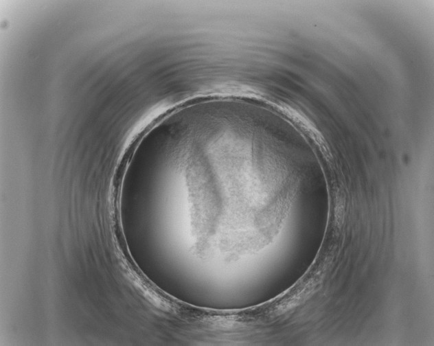 X0000087550990200705041323