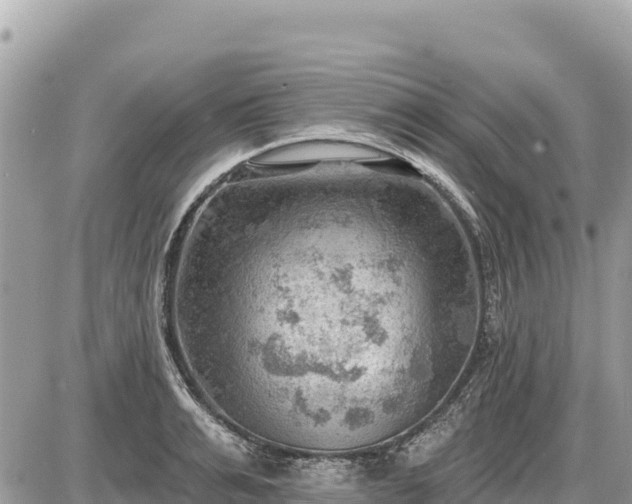 X0000087550991200705041323