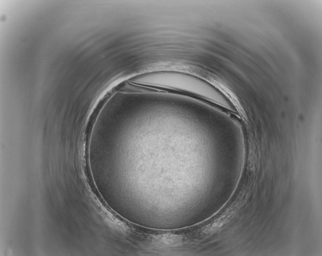 X0000087550992200705041323