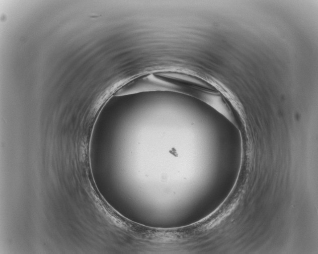 X0000087550993200705041323