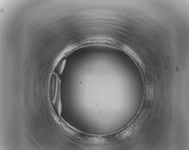 X0000087550994200705041323