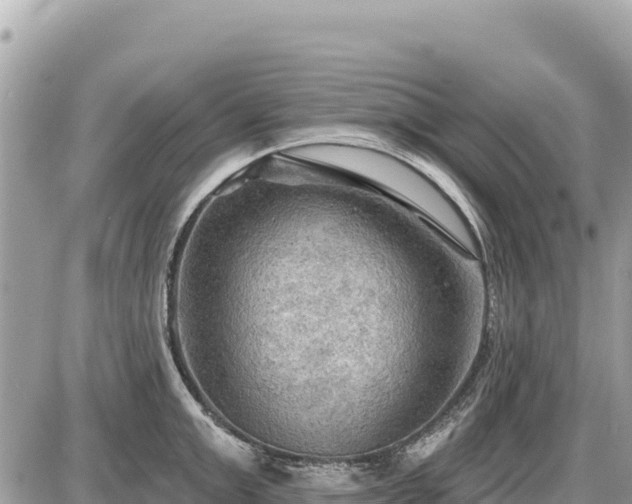 X0000087550999200705041323