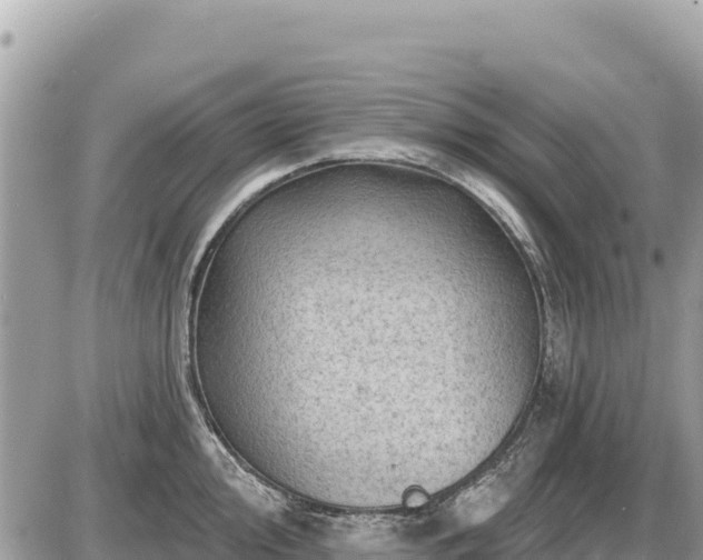 X0000087551000200705041323