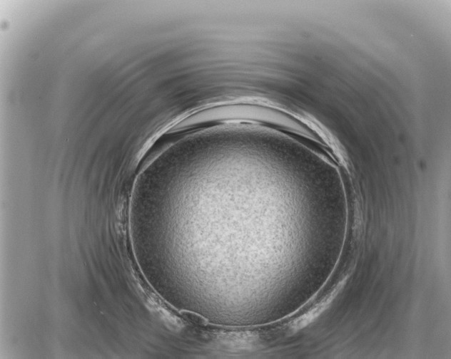 X0000087551001200705041323