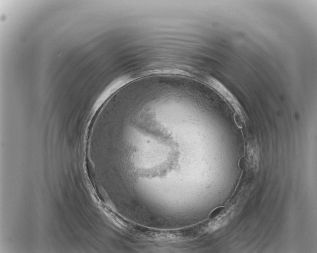 X0000087551002200705041323