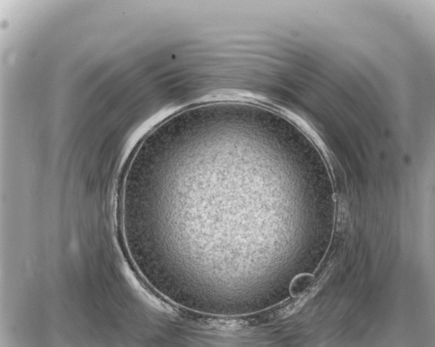 X0000087551003200705041323