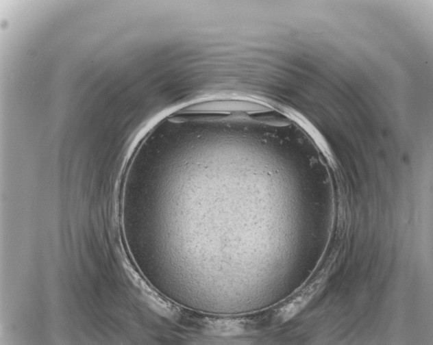 X0000087551004200705041323