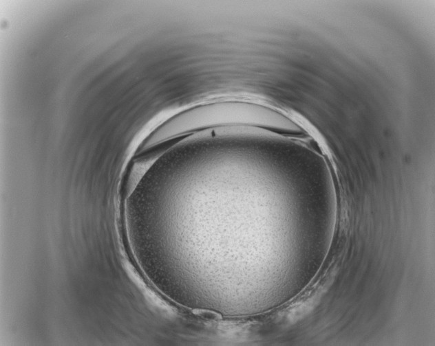 X0000087551005200705041323