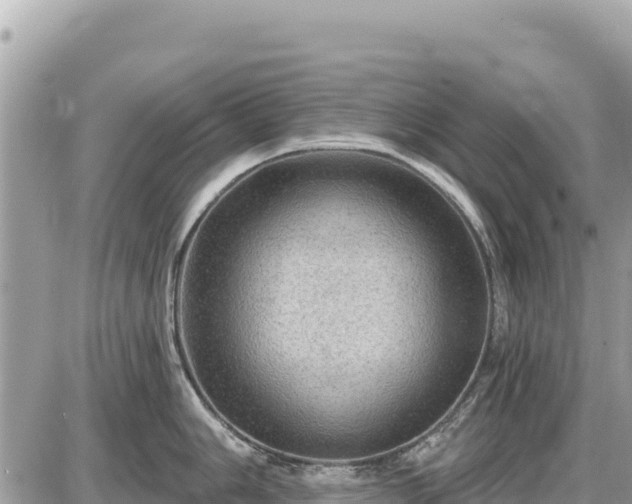 X0000087551006200705041323