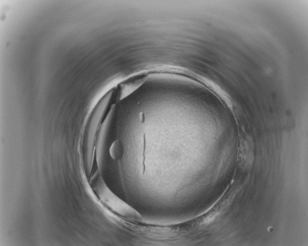 X0000087551007200705041323