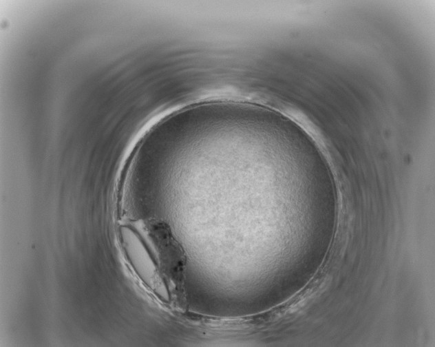 X0000087551008200705041323