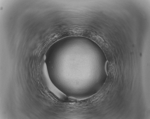 X0000087551009200705041322