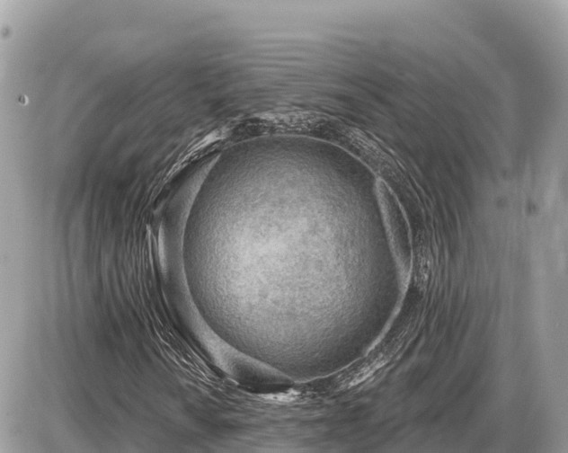 X0000087551010200705041322