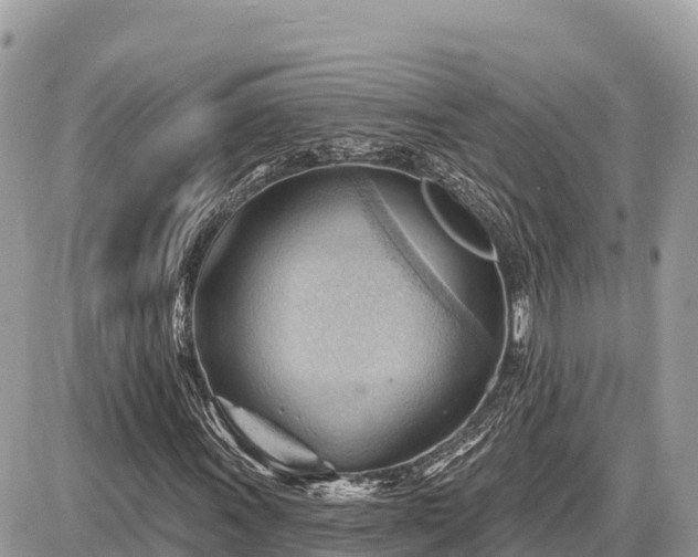 X0000087551011200705041322