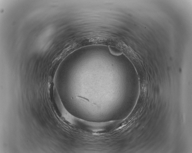 X0000087551012200705041322