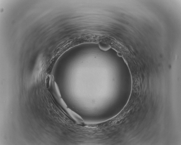 X0000087551013200705041322