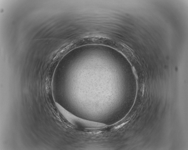 X0000087551014200705041322