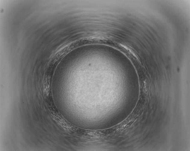 X0000087551015200705041322