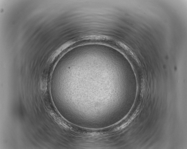 X0000087551017200705041322