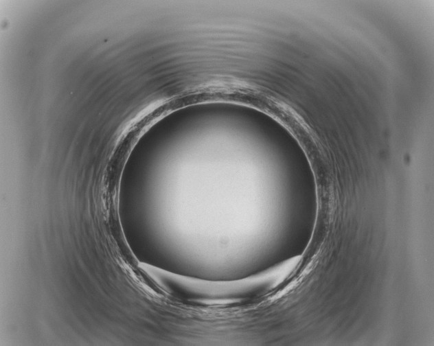 X0000087551018200705041322