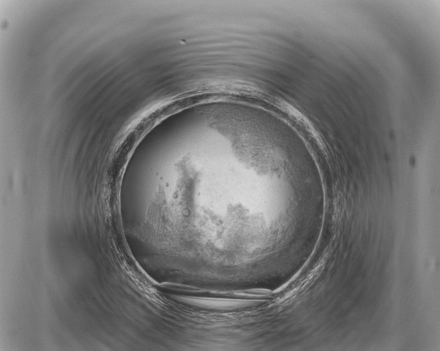 X0000087551019200705041322