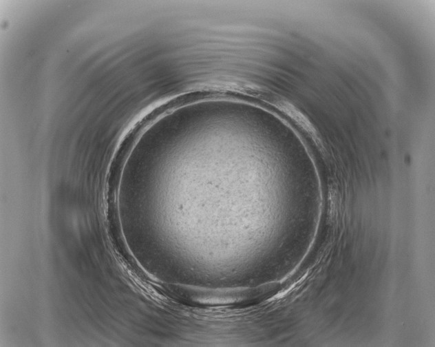 X0000087551020200705041322