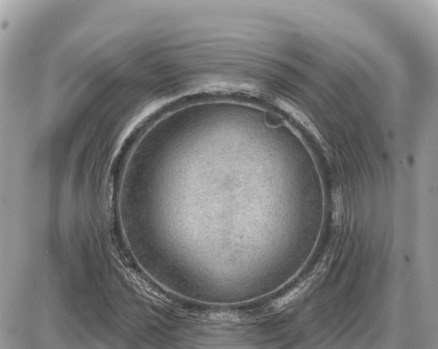 X0000087551021200705041322