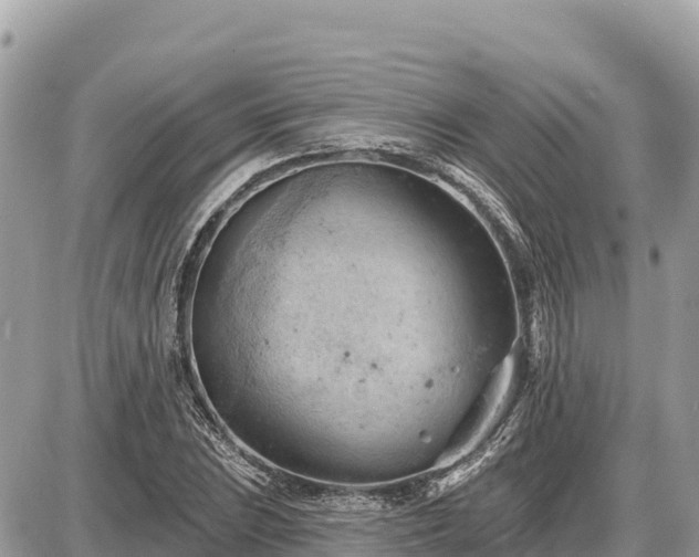 X0000087551023200705041322