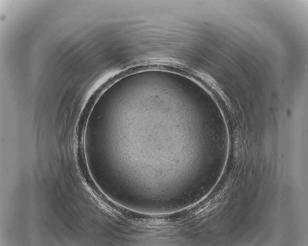 X0000087551024200705041322