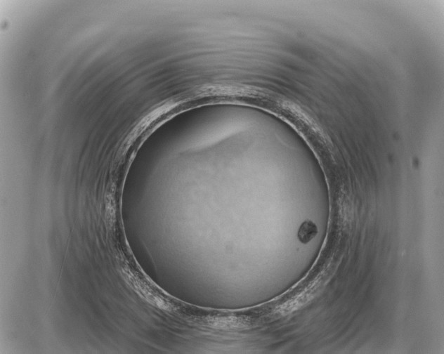 X0000087551025200705041322