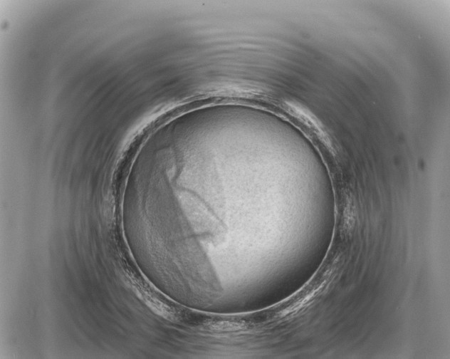 X0000087551027200705041322