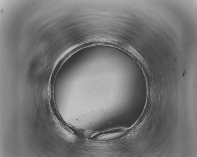 X0000087551028200705041322