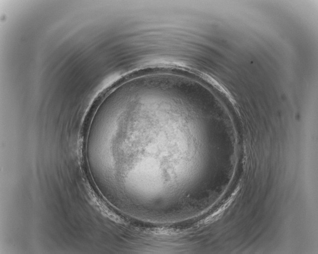 X0000087551029200705041323