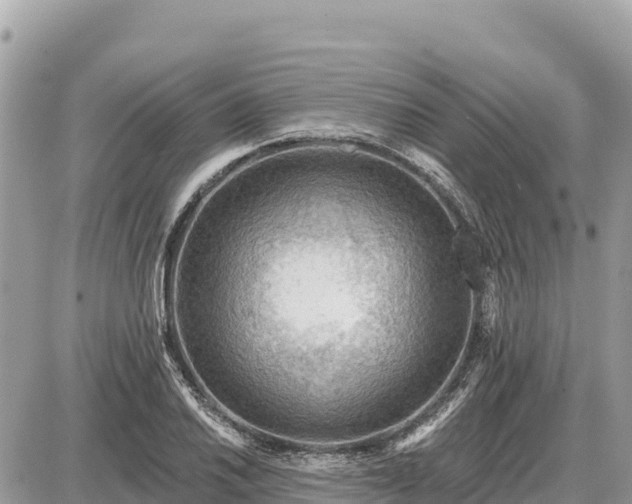 X0000087551030200705041323