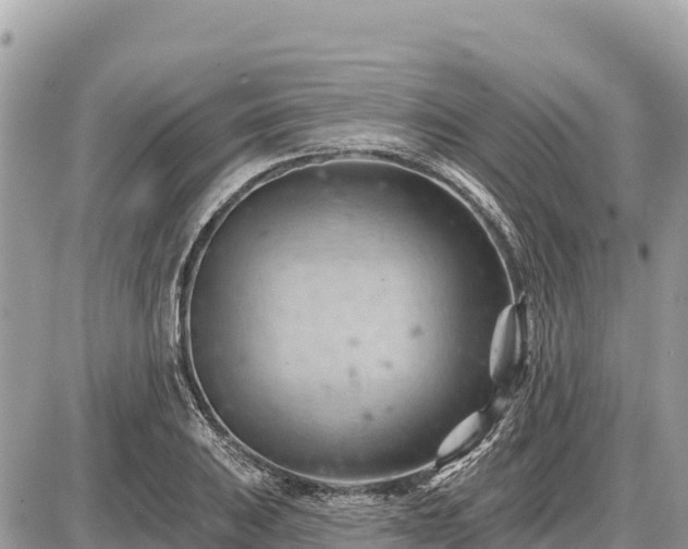 X0000087551031200705041323