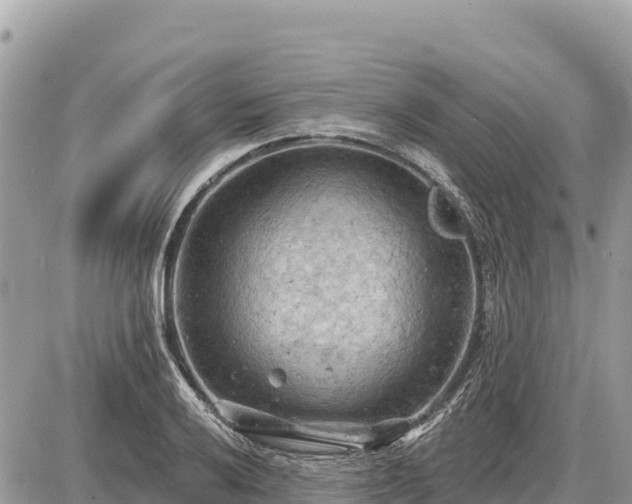 X0000087551032200705041323