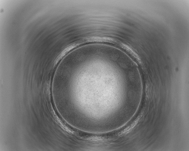 X0000087551033200705041323