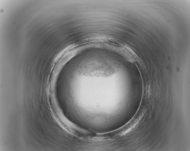 X0000087551034200705041323