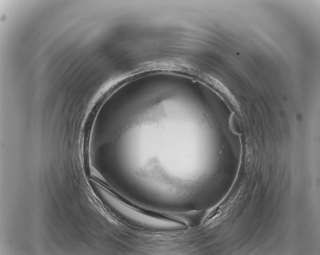 X0000087551035200705041323