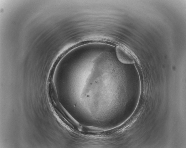 X0000087551037200705041323