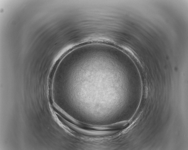 X0000087551038200705041323