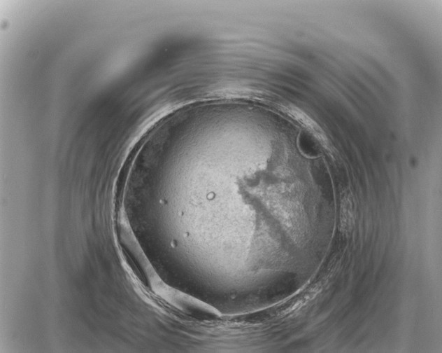 X0000087551039200705041323