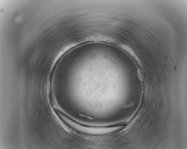 X0000087551040200705041323