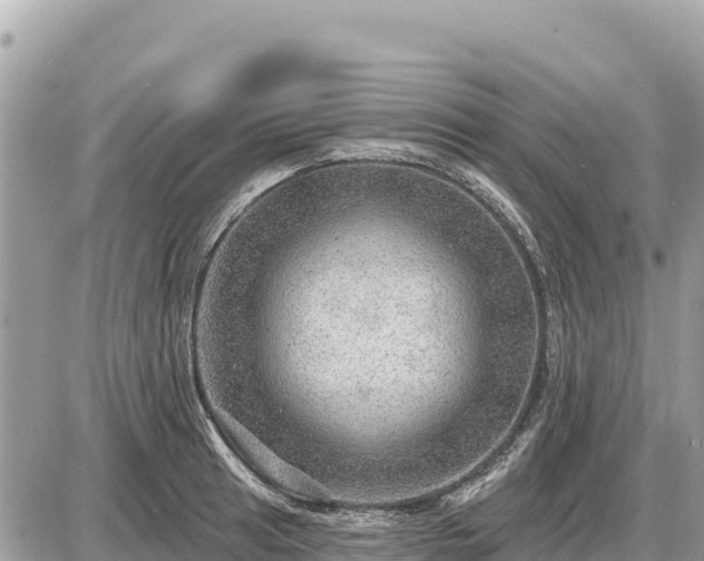 X0000087551041200705041323