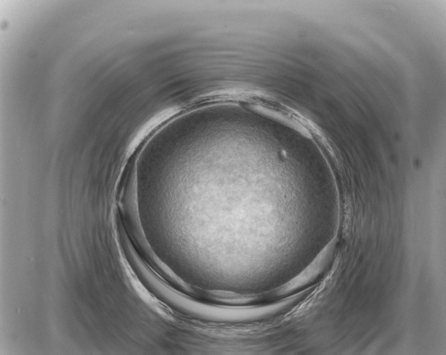 X0000087551042200705041323