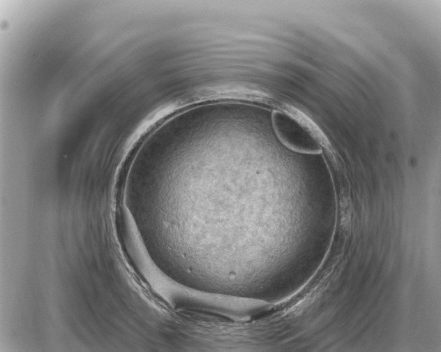 X0000087551043200705041323