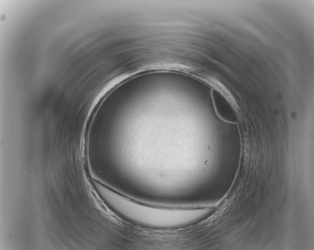 X0000087551044200705041323